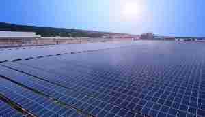 中美硅晶与蓝狮在线光电携手战略合作